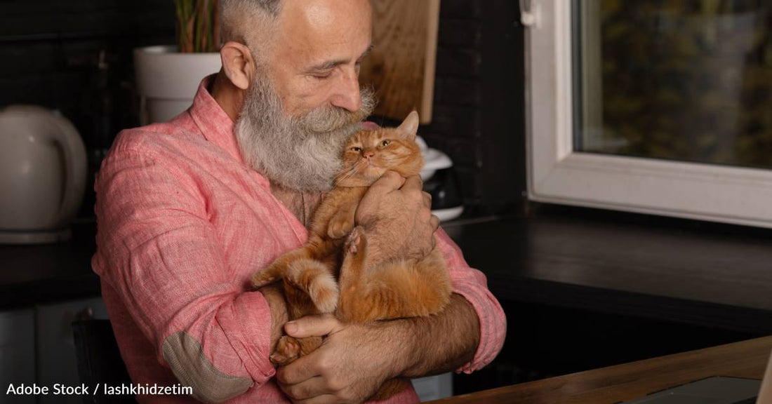 Cats with Dementia Show Alzheimer's Disease Hallmarks