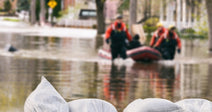 Reverse The Illegal FEMA Workforce Cuts That Put Millions At Risk
