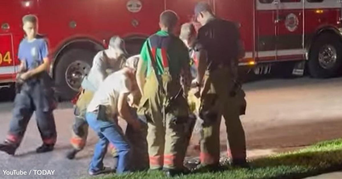 Mother and Son See a Baby Deer Stuck in a Storm Drain, So They Call Firefighters