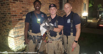three firefighters holding kitten in white towel