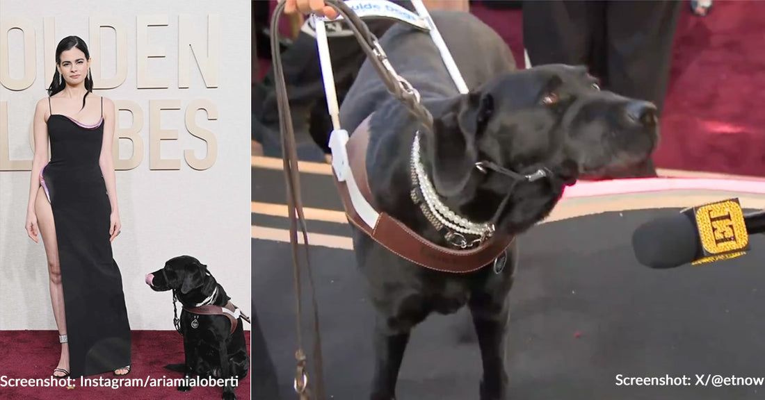 Aria Mia Loberti's Guide Dog "Ingrid" Makes History As First Dog For The Blind To Walk Red Carpet At Golden Globes
