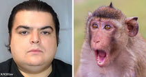 Split image showing a mugshot-style portrait of a man beside a close-up of a startled monkey with its mouth open.