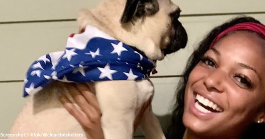 Olympian Gabby Thomas' Rescue Pug Is "Fastest Pug In The Country"