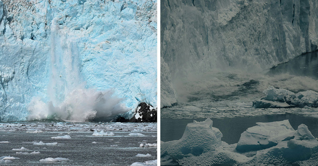 Icebergs floating in dark water with fresh glacier calving visible along the ice wall.