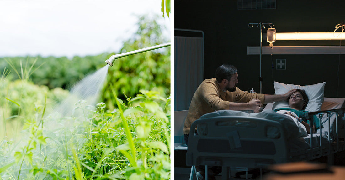 Split image of herbicide being sprayed over green vegetation on the left and a man comforting a woman in a hospital bed on the right.