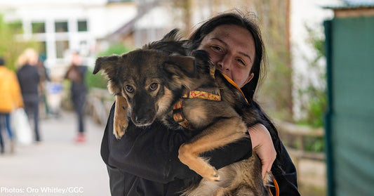 Veterinarians Head To Ukraine To Help Spay/Neuter Over 750 Pets