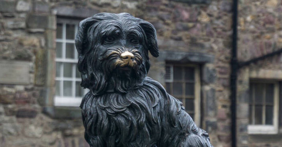 The Enduring Loyalty of Greyfriars Bobby