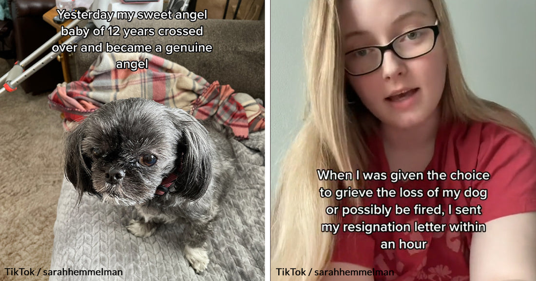 Woman Asked For A Day Off To Grieve The Loss Of Her Dog Of 12 Years, But Her Work Said No