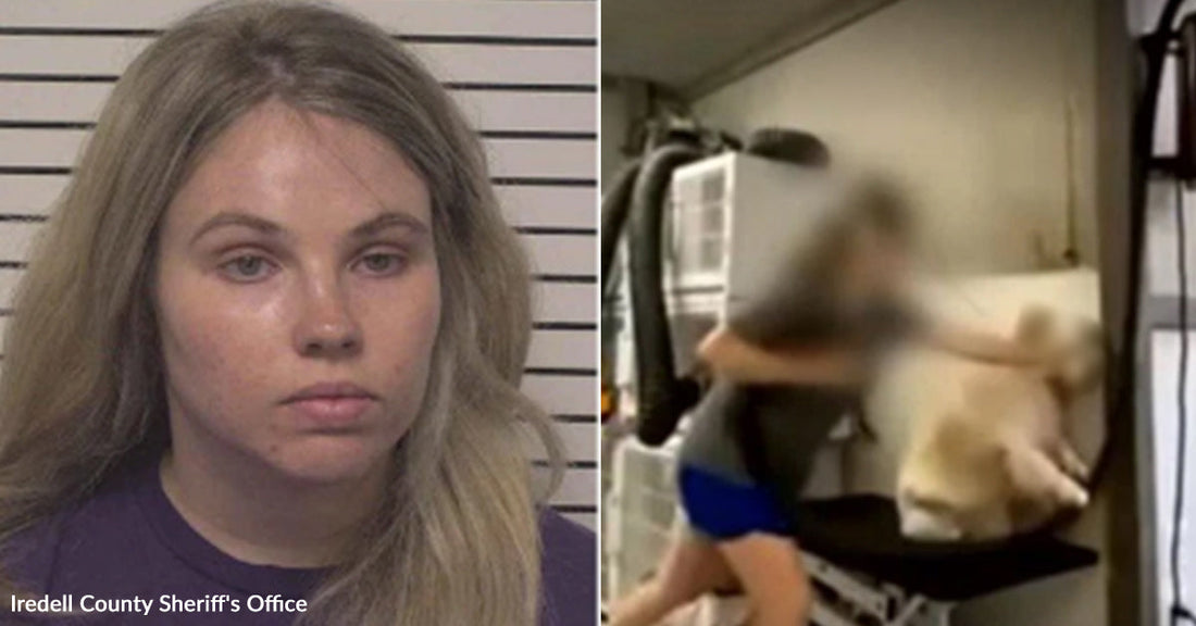 A Coworker’s Video Helped Expose Alleged Abuse Inside A Grooming Shop