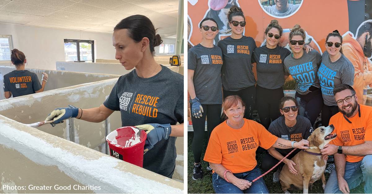 Rescue Rebuild Gives Florida Animal Shelter Complete Makeover And Impr ...