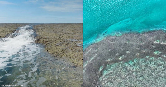 On the left, white foam rushes through a rocky coral reef channel; on the right, turquoise ocean meets an exposed coral flat from above.