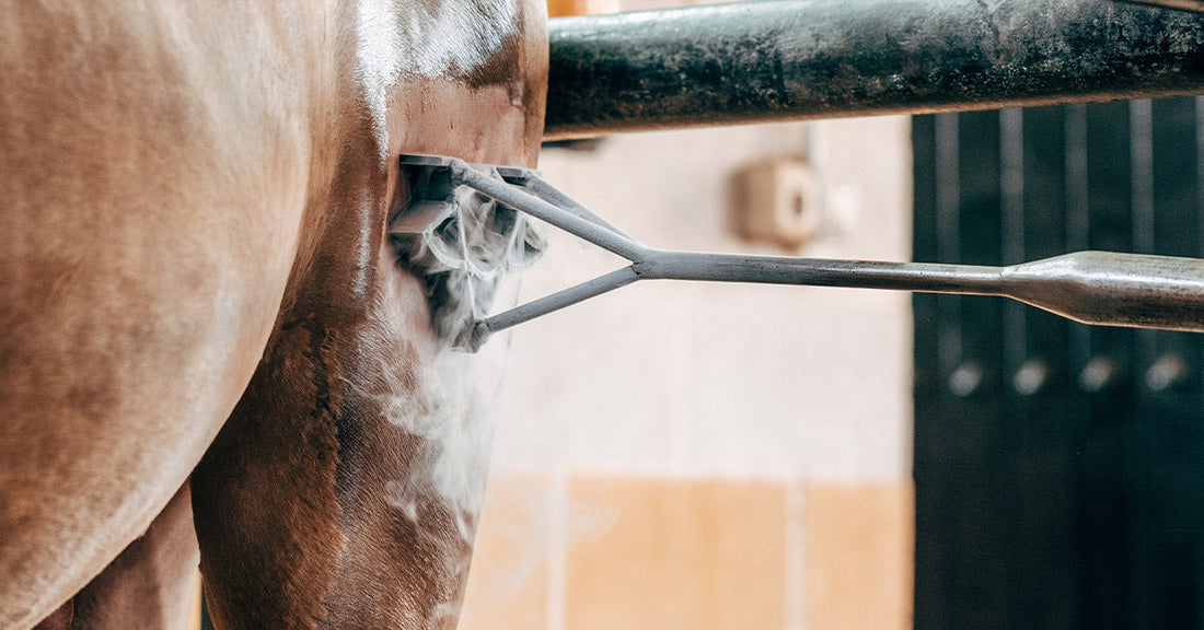 Someone performing a procedure on a horse, with steam visible from the equipment.