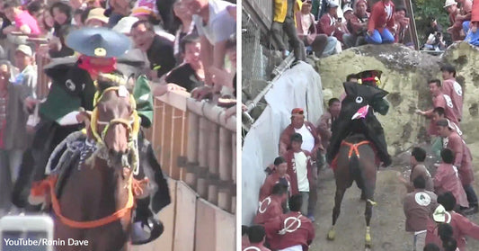 Split image showing a costumed horse on a crowded track beside a second scene of a horse climbing a steep dirt festival course.