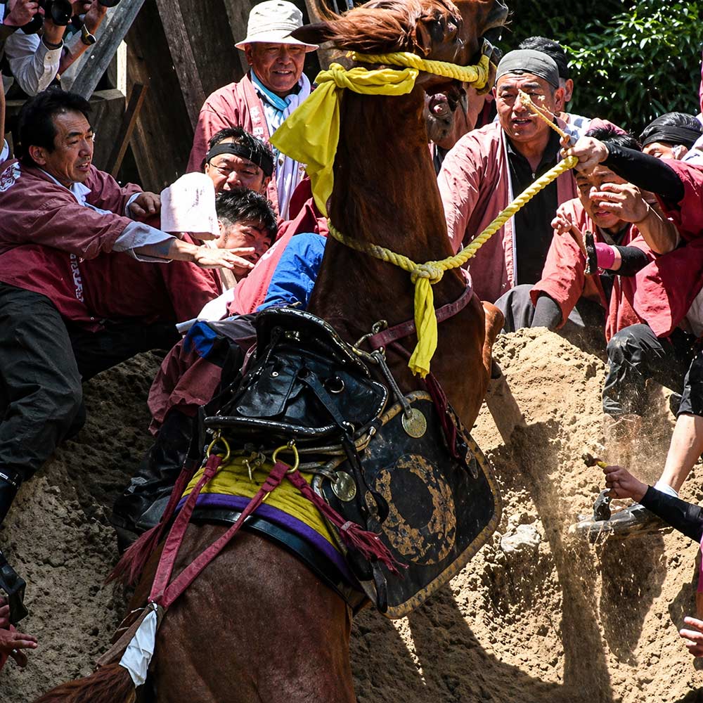 Stop Horse Cruelty At Japan’s Rising Horse Festival