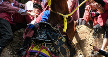 Stop Horse Abuse at Japan’s Rising Horse Festival