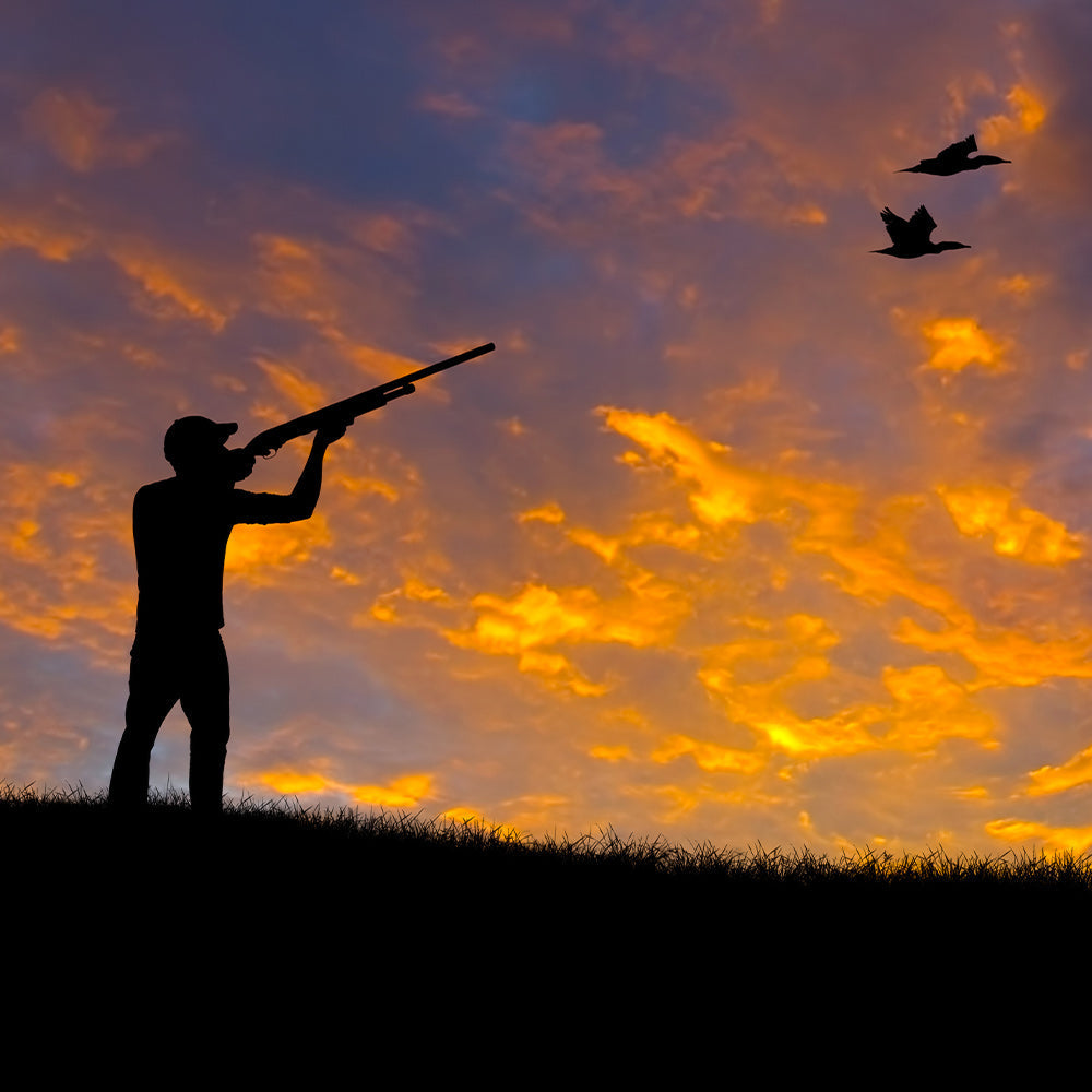 Stop the Rollback of Wildlife Safeguards on Public Lands