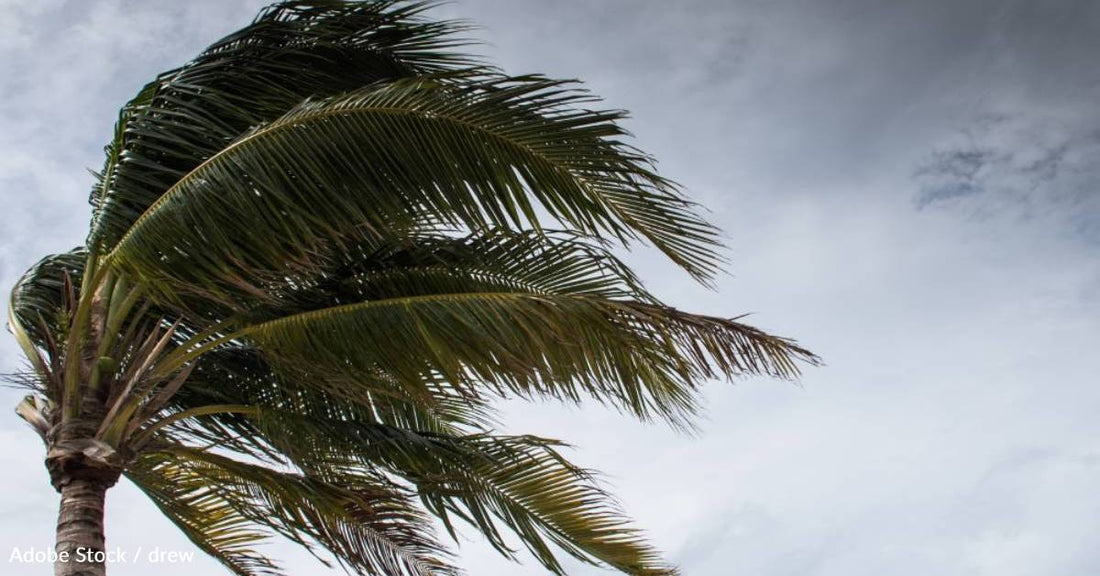 Being Exposed to a Hurricane May Increase Risk of Death for Dementia Patients