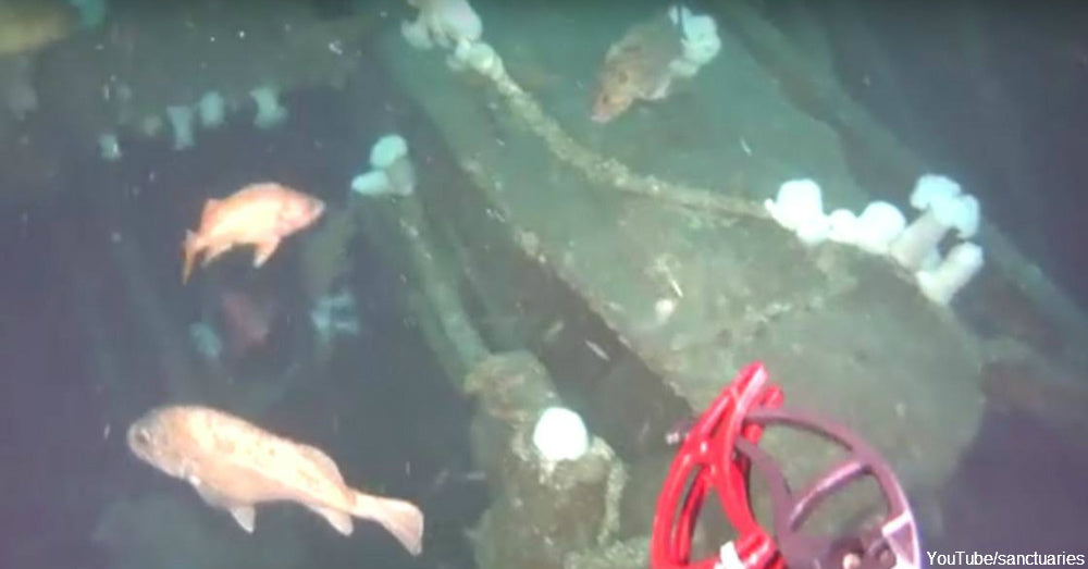 Amazing Discovery of USS Conestoga Missing for 95 Years