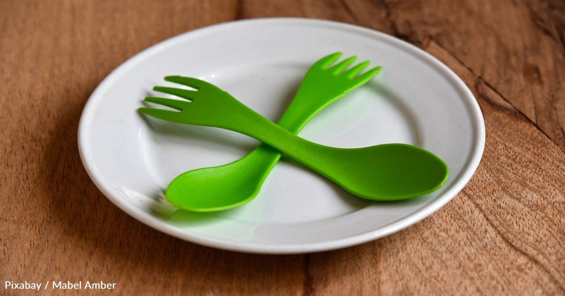 Intermittent Fasting May Help Immune System's Natural Killer Cells Fight Back Against Cancer