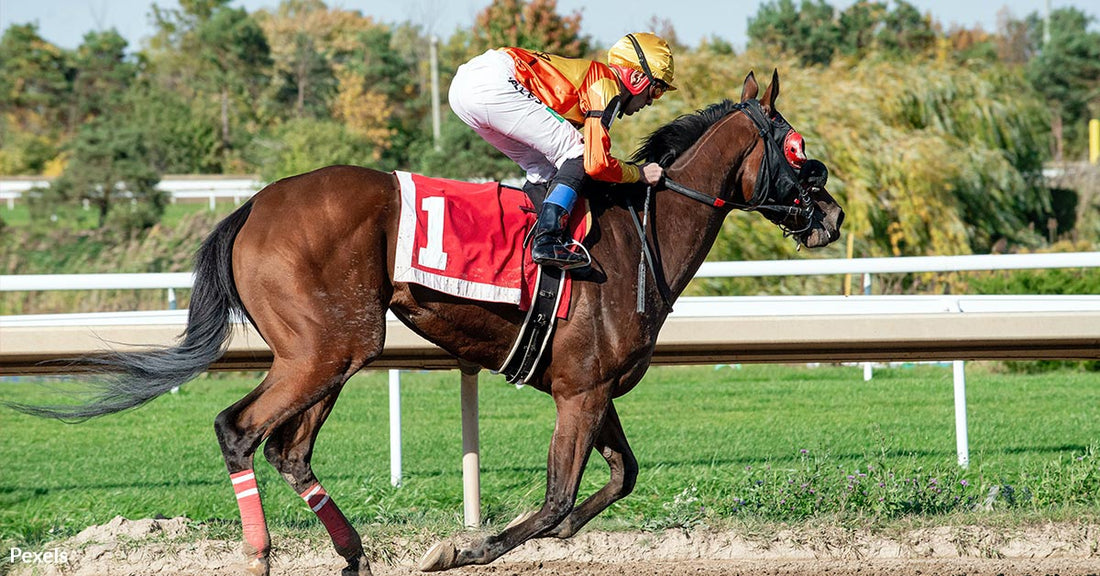 Tragedy Strikes as Seven Young Lives Lost at the Kentucky Derby