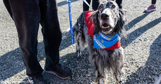 "The Impact 40 Pounds of Dog Food Can Make" to Displaced People & Pets in California