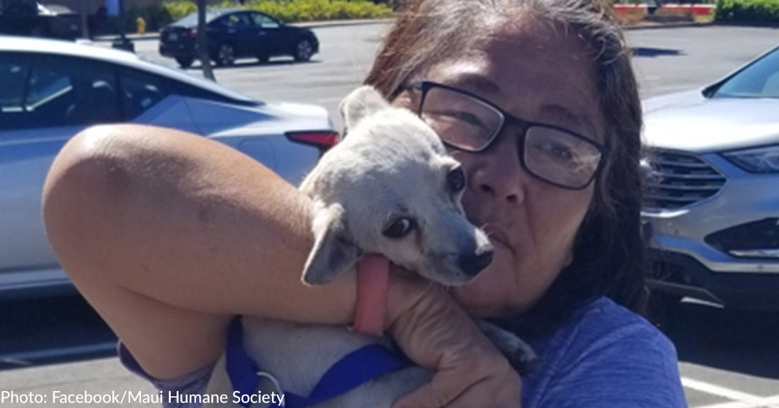 Lahaina Woman Reunited With Missing Dog 4 Weeks After Maui Wildfire Destroyed Her Home