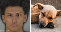 Left: Young man in a mugshot; Right: Thin dog lying on pavement with eyes closed.