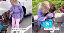 Smiling young girl pets a brown dog beside a parked car, both making eye contact during an adoption event.