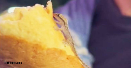 Guy Shares Ice Cream with a Sweet-Toothed Lizard from the Sky!