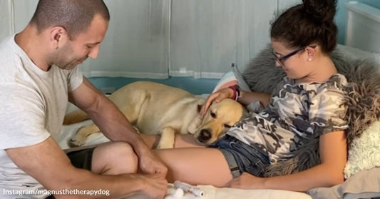 Pet Turned Therapy Dog Helps Family Cope with the Realities of Chronic Disease