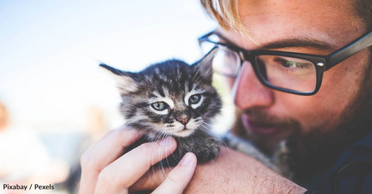 Animal Empathy Tends to Be Lower in Men, But Pet Ownership Could Change That
