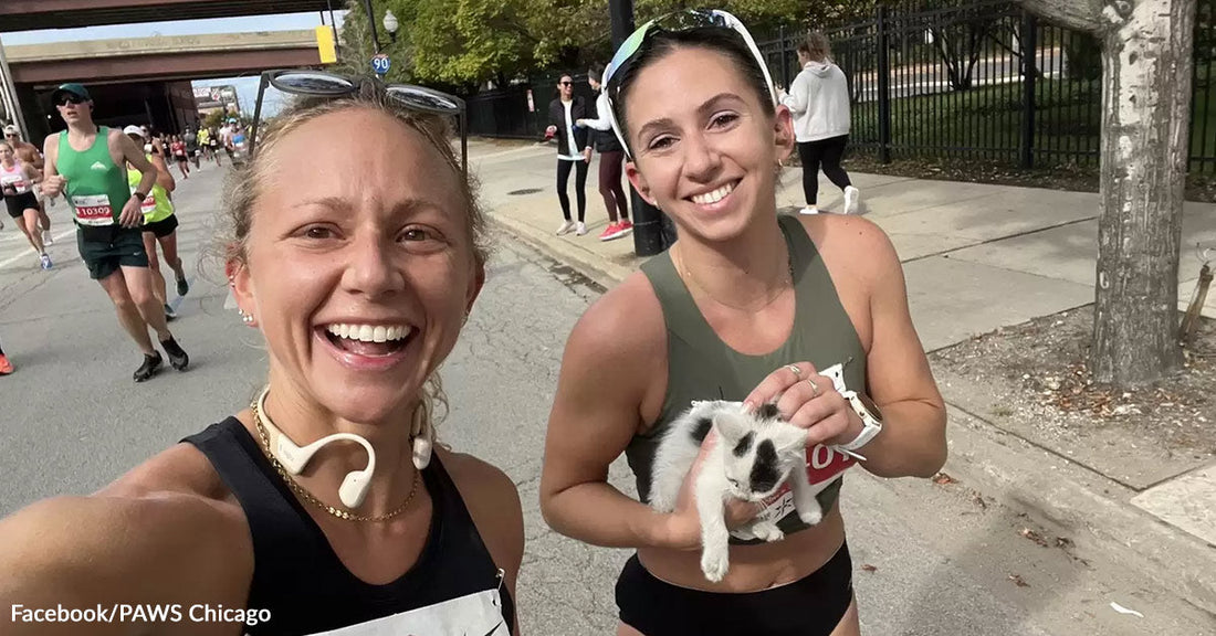 Two smiling runners take a selfie during a marathon while one of them gently holds a small black-and-white kitten.
