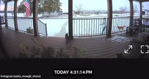 Doorbell camera screenshot showing a snowy front porch and yard, with a cat standing near the railing.
