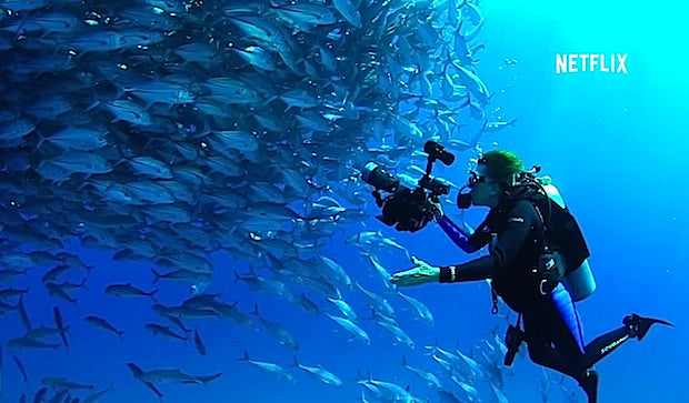 5 Deep Ocean Documentaries You Can Binge-Watch On Netflix