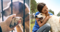 Split image showing a hand holding a dog’s paw through kennel bars on one side and a woman hugging a happy dog outdoors on the other.