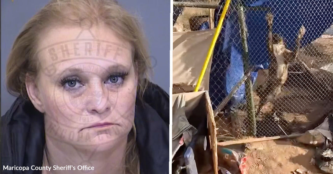22 Dogs Rescued After Months Long Animal Cruelty Investigation Ends With Arrest