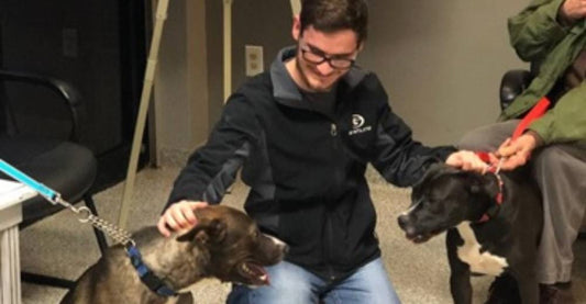 Shelter Dogs Become Best Friends After Failed Adoptions, End Up in Same Forever Home