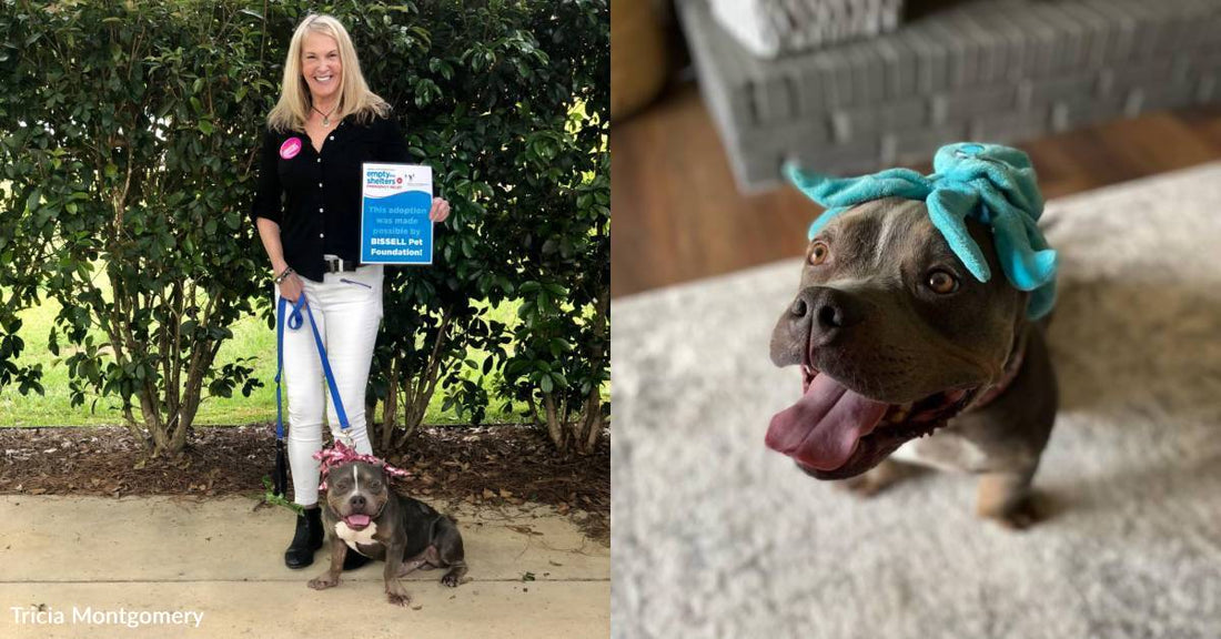 Woman Honors Memory of Beloved Dog By Launching Charity Focused On Early Pet Cancer Detection