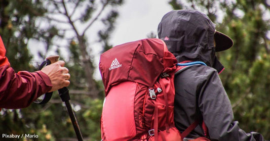 Our Connection to Nature Has Plummeted Since the 19th Century