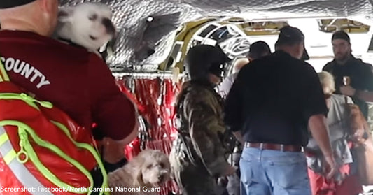 North Carolina National Guard Airlifts People and Pets to Safety