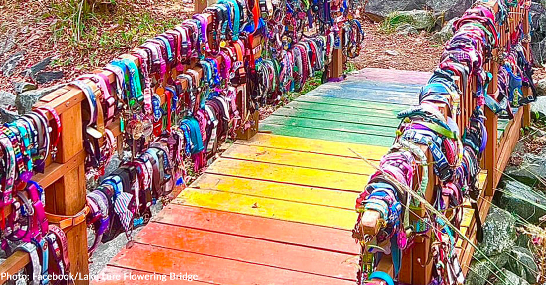 North Carolina's 'Rainbow Bridge' Destroyed in Helene Floods