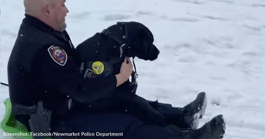 New Hampshire Police Dog & Officer Take A Break To Sled Down Hill