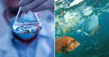 On the left, a gloved scientist holds an Erlenmeyer flask containing water and colorful microplastic fragments; on the right, a fish swims beneath a ocean surface littered with floating plastic.