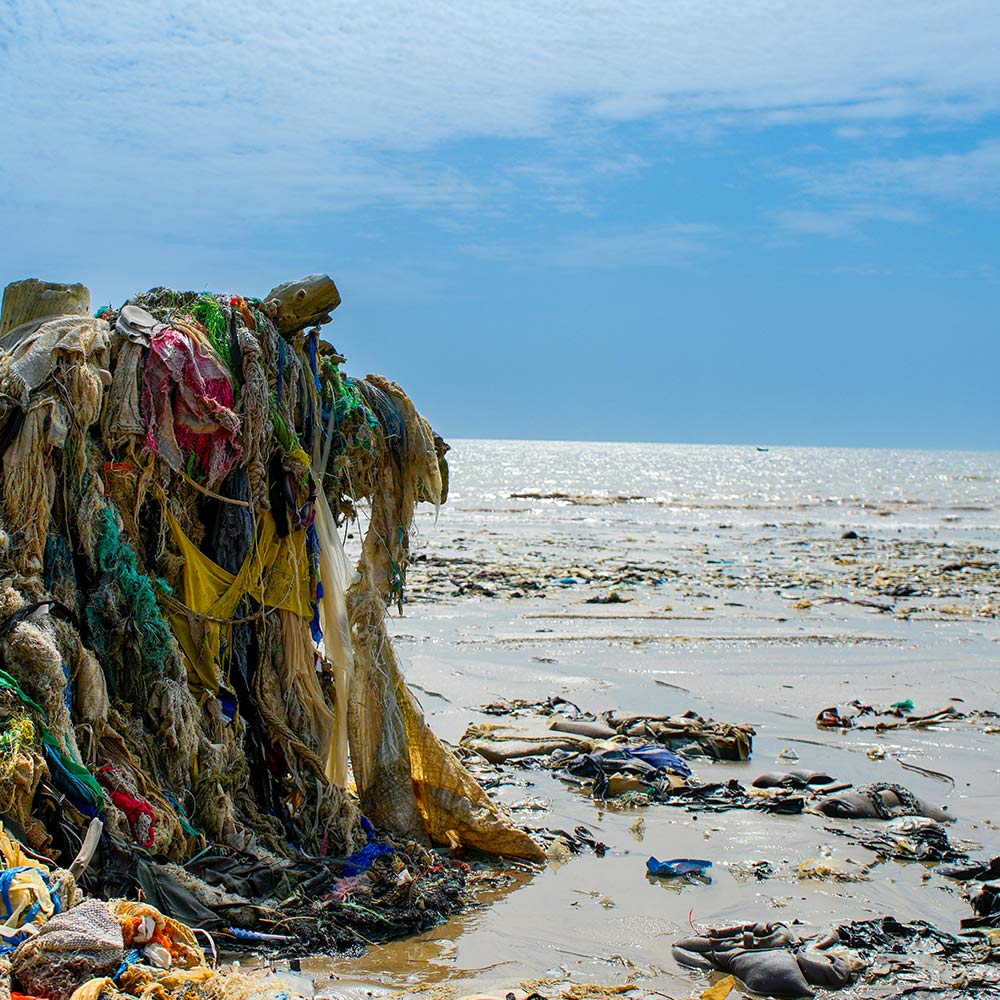 Tell The EPA To Stop Corporations From Poisoning Our Oceans | GreaterGood