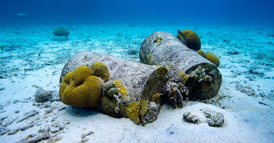 Broken metal barrels rest on the seafloor, now covered in bright yellow coral and marine life, surrounded by clear blue water and patches of sand.