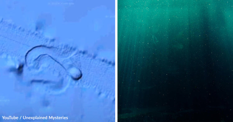 Massive Ocean Object Leaves Mysterious Trail Across the Pacific ...