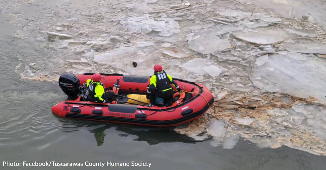 Ohio Firefighters Rescue Kittens Thrown Off Bridge Into Icy River