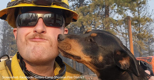 Oregon Firefighters Rescue Lost Dog While Battling Golden Wildfire