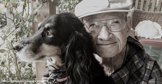 Owning A Dog Reduces Risk of Dementia In Old Age By 40%, According To Researchers