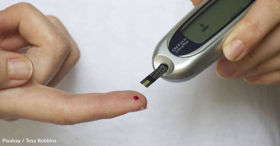 Pancreas Size May Help Predict the Odds of Type 1 Diabetes Progression